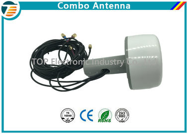 5 in 1 Combo-Antenne 1 X GPS &amp; GLONASS 2 X MiMo WiFi 2 X MiMo 4G LTE